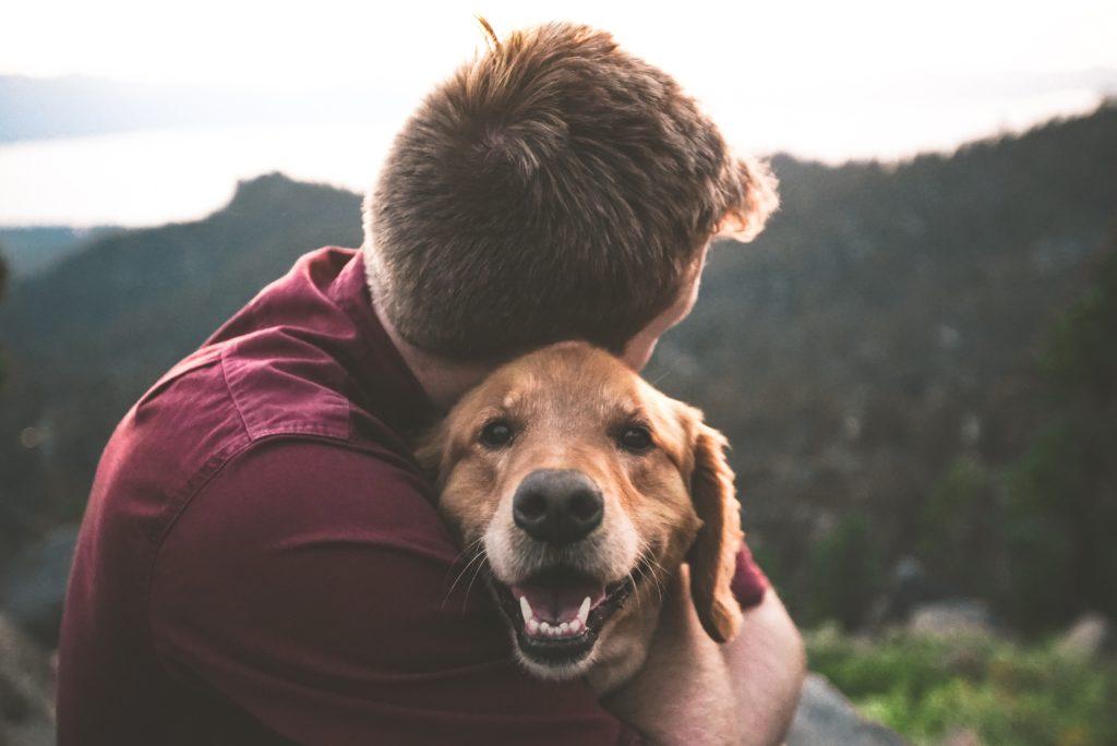 HOW A PET CAN AFFECT YOUR RELATIONSHIP hero