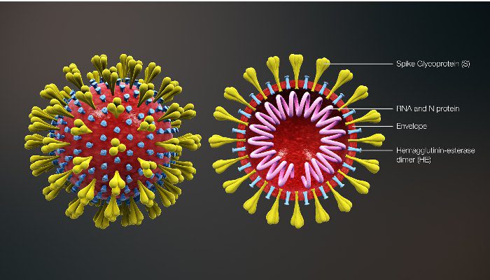 Don’t Let Coronavirus Infect Your Relationship